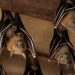 Outsmarting Unwelcome Guests: Practical Solutions for Bats in Your Attic