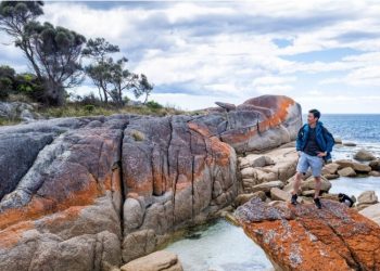 Tasmanian Travel: Guide to the Bay of Fires
