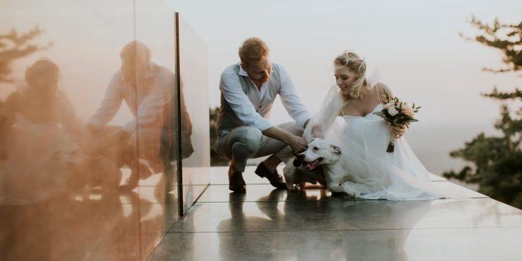 Documentary wedding video