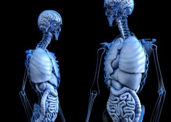 Exploring the Impact of Medical Animation in Patient Education