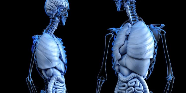 Exploring the Impact of Medical Animation in Patient Education