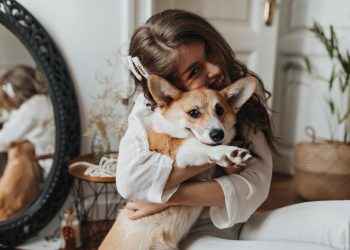 Understanding the Cost of Owning a Pembroke Welsh Corgi: What You Should Know