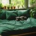 Maximize Space and Style: The Ultimate Guide to Corner Sofa Beds at Msofas